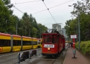 257.jpg
