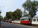 445~1.JPG