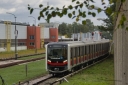 9526.JPG
