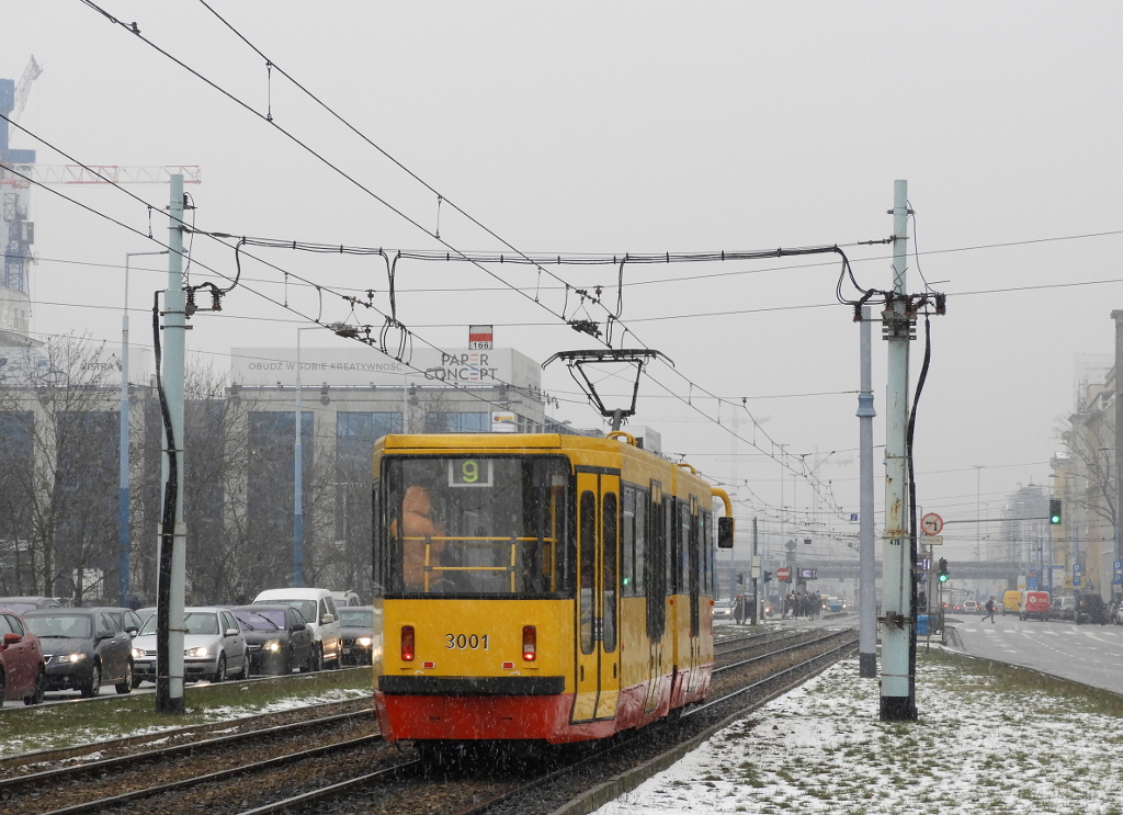 3001
Słowa kluczowe: DziwadĹo