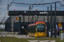 4256.jpg