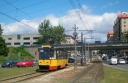 1364.JPG