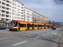3187.JPG