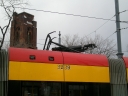 3239_28229.JPG