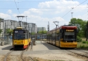 3623.JPG