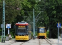 3642.JPG