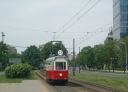 445.JPG