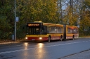 3322_C09_wgkm.JPG