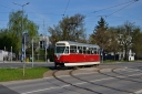 795_36_wgkm.JPG