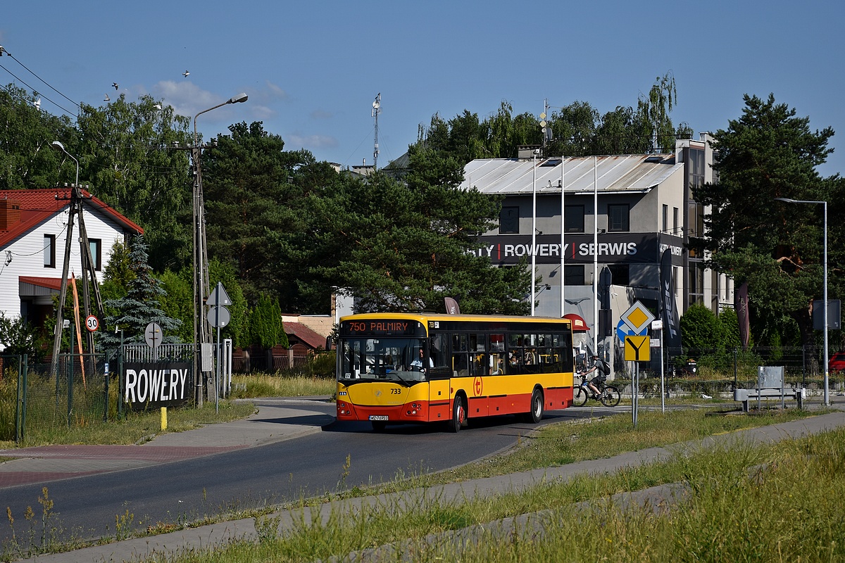 733
BurakĂłw
Słowa kluczowe: M121I