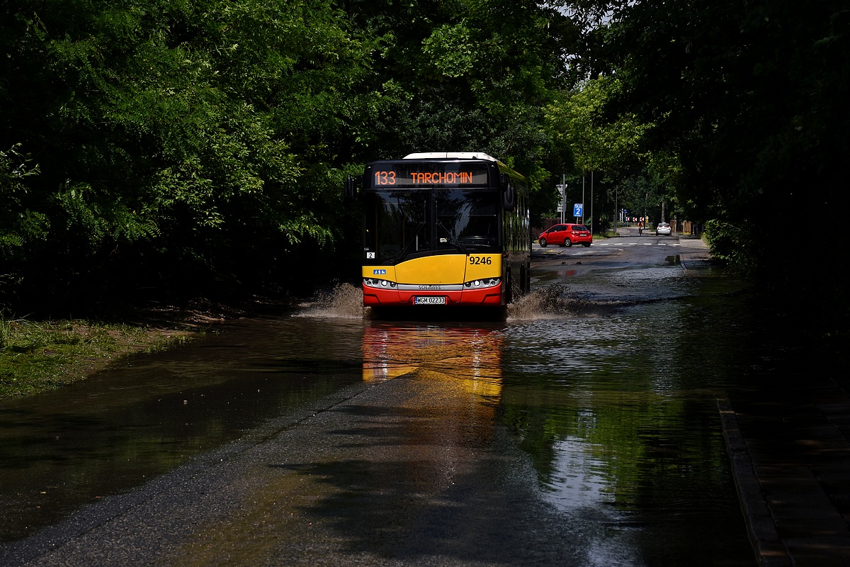 9246
Tak siÄ brudzÄ autobusy ;) 
