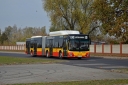 7233_C40_2_wgkm.JPG