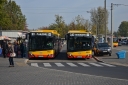 9904_C40_wgkm.JPG