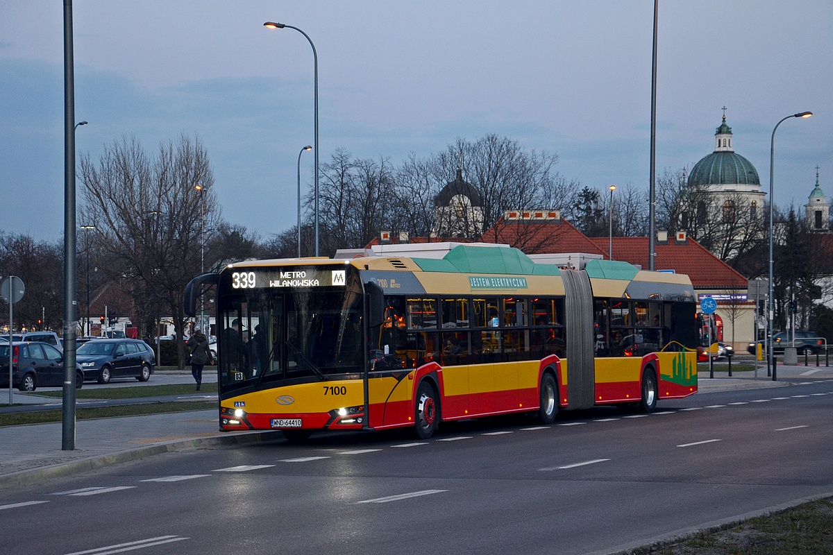 7100
Słowa kluczowe: DziwadĹo