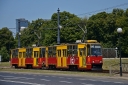 11642B1165_15_wgkm.JPG