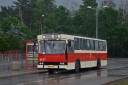 4617_R_wgkm.JPG