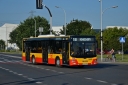 9305_518_3_wgkm.JPG