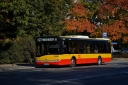 9440_127_wgkm.JPG