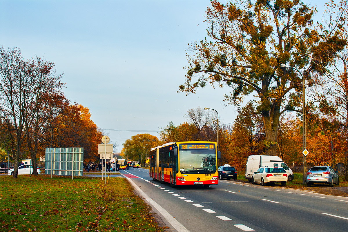 9824
Słowa kluczowe: WĹ2018