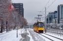 1254_1.jpg
