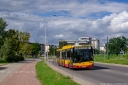 9930_1.jpg