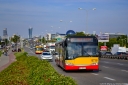8738_1.jpg