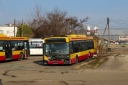 IMG_6261_--_kopia.JPG