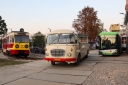 IMG_1366_--_kopia.JPG