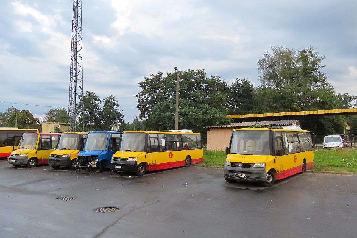 50022
TytuĹowe ProCity wraz z innymi o numerach 70014, 20152, 143 (70019) i 30024 stojÄ na terenie zajezdni. 
