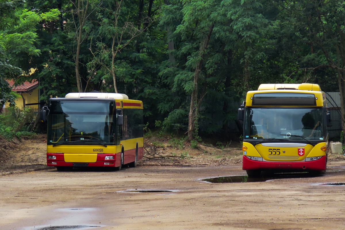 60028
TytuĹowy SAM oraz Scania OmniCity #80255 stojÄ na placu postojowym w okolicach grodziskiej zajezdni PKS Grodzisk. 
W ostatnim czasie duĹźo wozĂłw PKS Grodzisk trafiĹo do zapasu z racji pandemii koronawirusa i teraz jeszcze dodatkowo wakacji, co wiÄĹźe siÄ z mniejszymi potrzebami taborowymi. By te wszystkie niepotrzebne autobusy pomieĹciÄ na grodziskiej zajezdni, PKS wykupiĹ dodatkowo plac postojowy od zĹomiarza sÄsiadujÄcy z zajezdniÄ.
