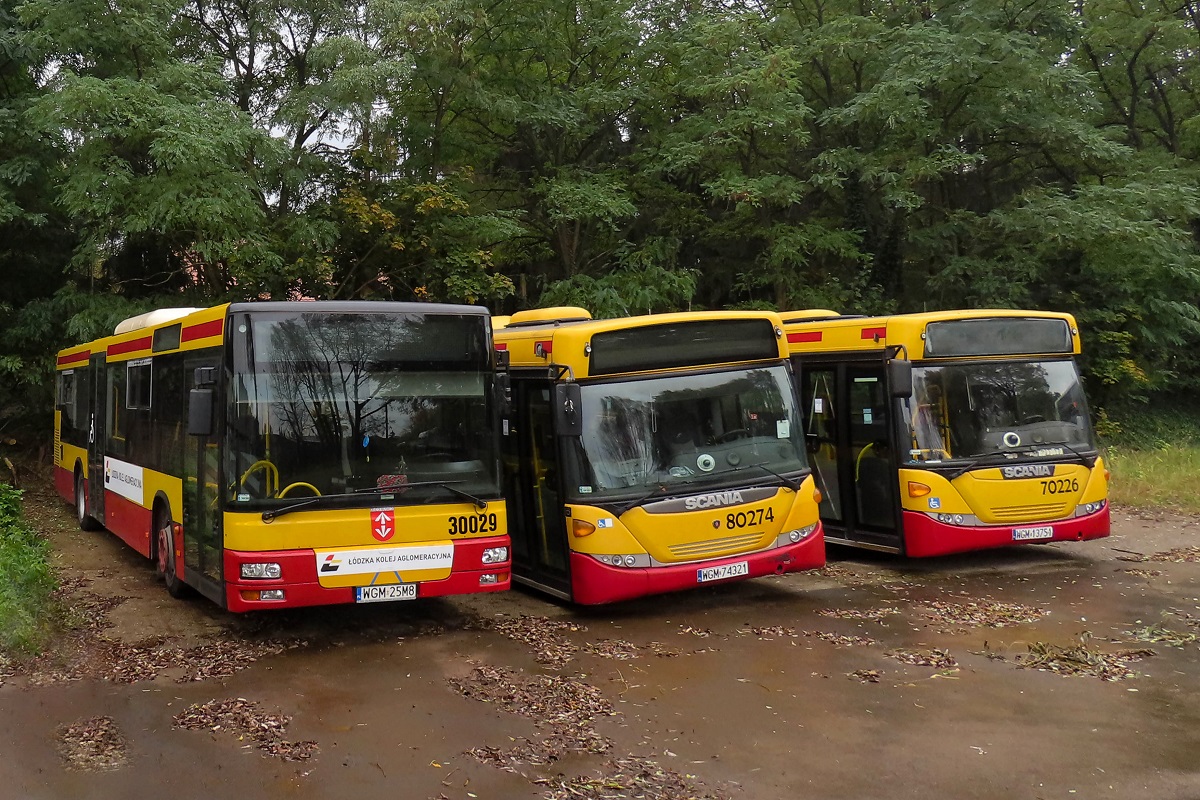 30029
TytuĹowy SAM upiÄkszony naklejkami ĹĂłdzkiej Kolei Aglomeracyjnej wraz ze Scaniami OmniCity #80274 oraz 70226 stojÄ na placu postojowym w okolicach grodziskiej zajezdni PKS Grodzisk. 
