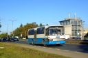 DSC03736.JPG