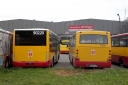 P1260096.JPG