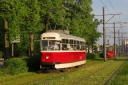 IMG_2486_--_kopia.JPG