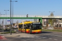 IMG_0454_--_kopia.JPG