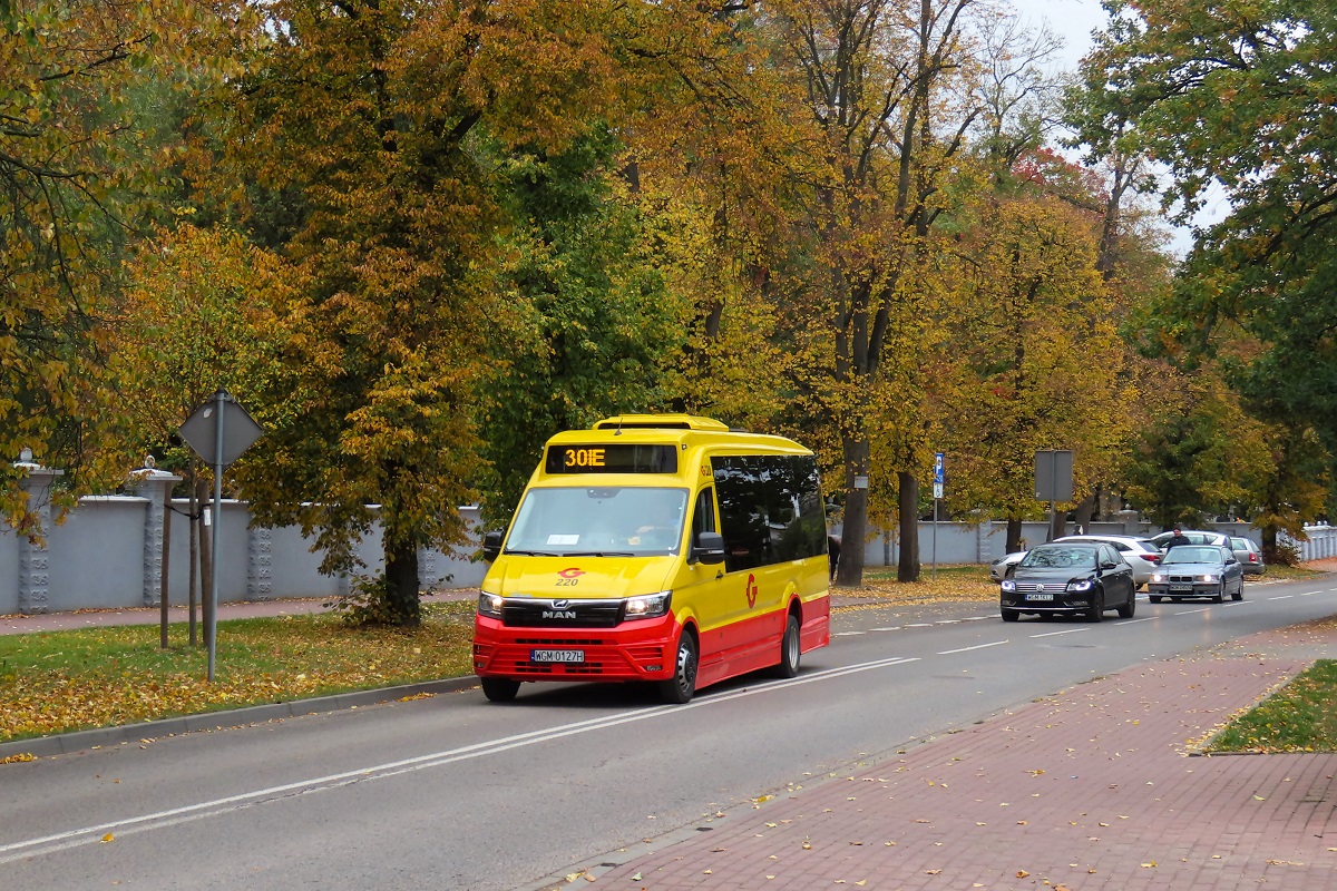 220
MAN wyruszyĹ z przystanku âGrodzisk Maz. RadoĹska WKD 02â jako kurs â406â linii numer 30 â Grodzisk Maz. Dworzec PKP (11:35)-PieĹki SĹubickie (12:24)-Grodzisk Maz. Dw. PKP (13:04). 
Słowa kluczowe: JesieĹ
