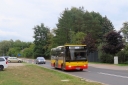 IMG_5004_--_kopia.JPG