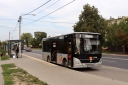 IMG_8086_--_kopia.JPG