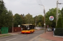 IMG_9375_--_kopia.JPG