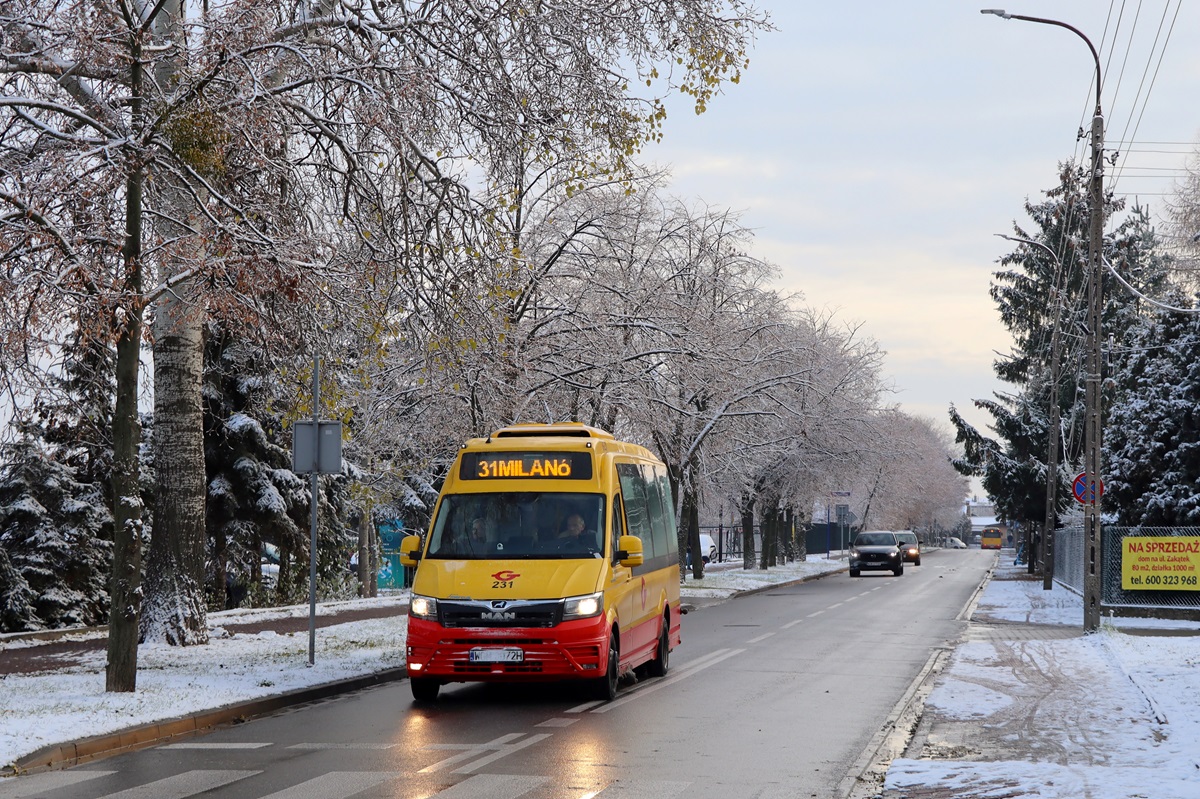 231
MAN jedzie jako kurs linii numer 31: Petrykozy Trakt KrĂłlewski (7:44)-MilanĂłwek Zaciszna (8:53). 
