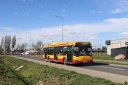 IMG_1776_--_kopia.JPG