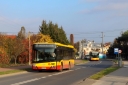 IMG_4313_--_kopia.JPG