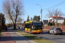 IMG_4377_--_kopia.JPG