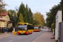 IMG_9799_--_kopia.JPG