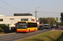 IMG_9999_--_kopia.JPG