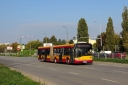 IMG_3637_--_kopia.JPG