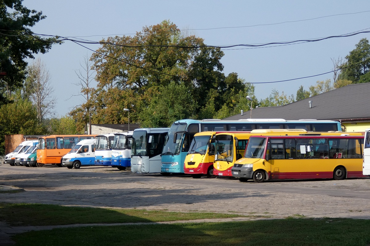 30001
ProCity o numerze 30001 rozpoczyna rzÄdek autobusĂłw stojÄcych na terenie Ĺźyrardowskiej zajezdni PKS Grodzisk. Dalej kolejno stojÄ: Autosan SanCity A0808MN.04.01 #40001, Autosan Solina H7-20.06.01 #70108, Berkhof Axial ASD 120 #50015, SAM Ares 12M #60034, Autosan H9-21 #50786, Autosan H9-21 #00112, Mercedes-Benz 412 D #10008, Autosan H9-21 #50564, Volkswagen LT 46 TDI #00119, Volkswagen LT 46 TDI #00160, Mercedes-Benz 412 D #00158 i Mercedes-Benz 315 CDI #00164. 
