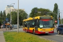 DSC07628.JPG