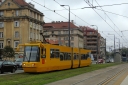 DSC08167.JPG