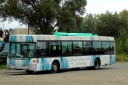 DSC08560.JPG